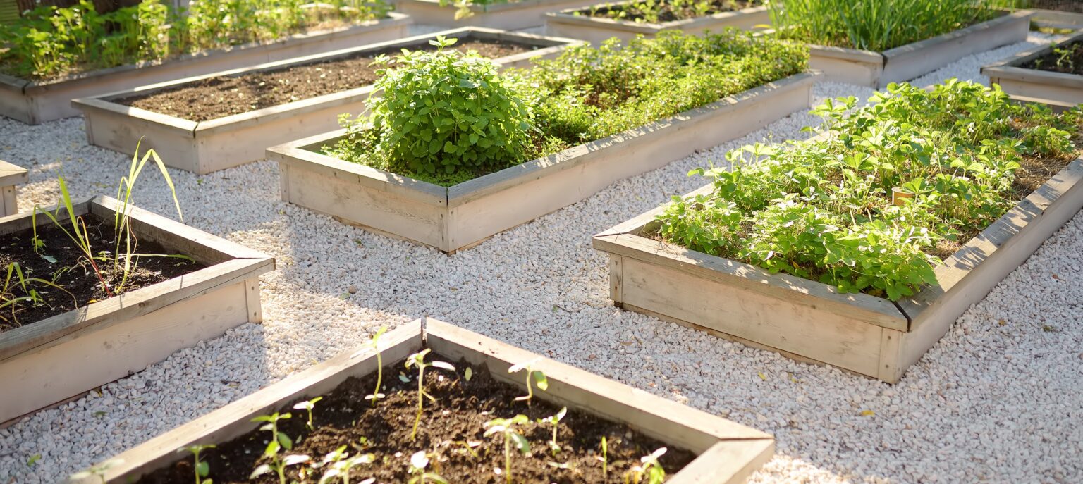 How to use treated pine for garden edging - landscaping supplies in The Hunter Valley