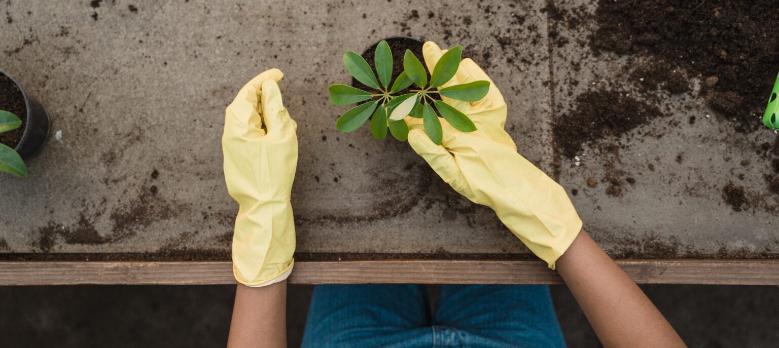 Improve soil with compost - landscaping supplies in The Hunter Valley