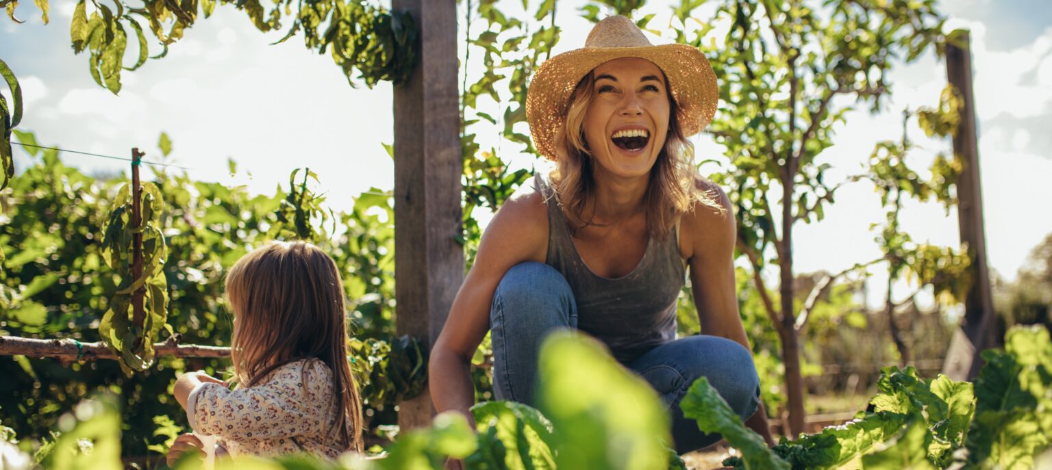 No dig garden bed – landscaping supplies in The Hunter Valley