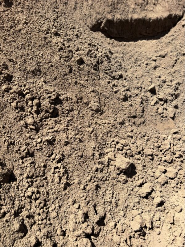 Sandy Loam