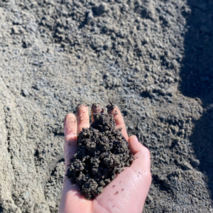 Crusher Dust