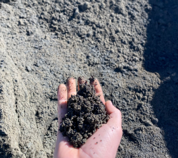 Crusher Dust