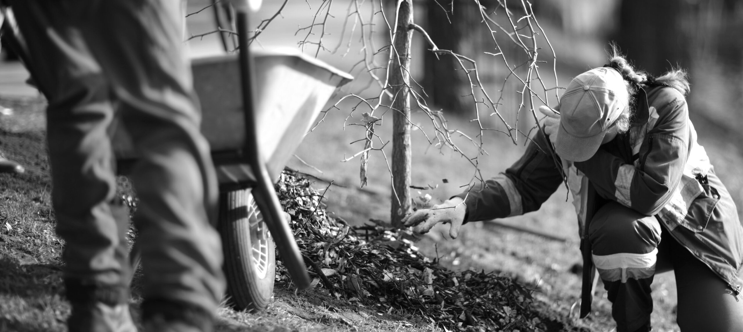 Landscaping supplies for trade - landscaping supplies in The Hunter Valley
