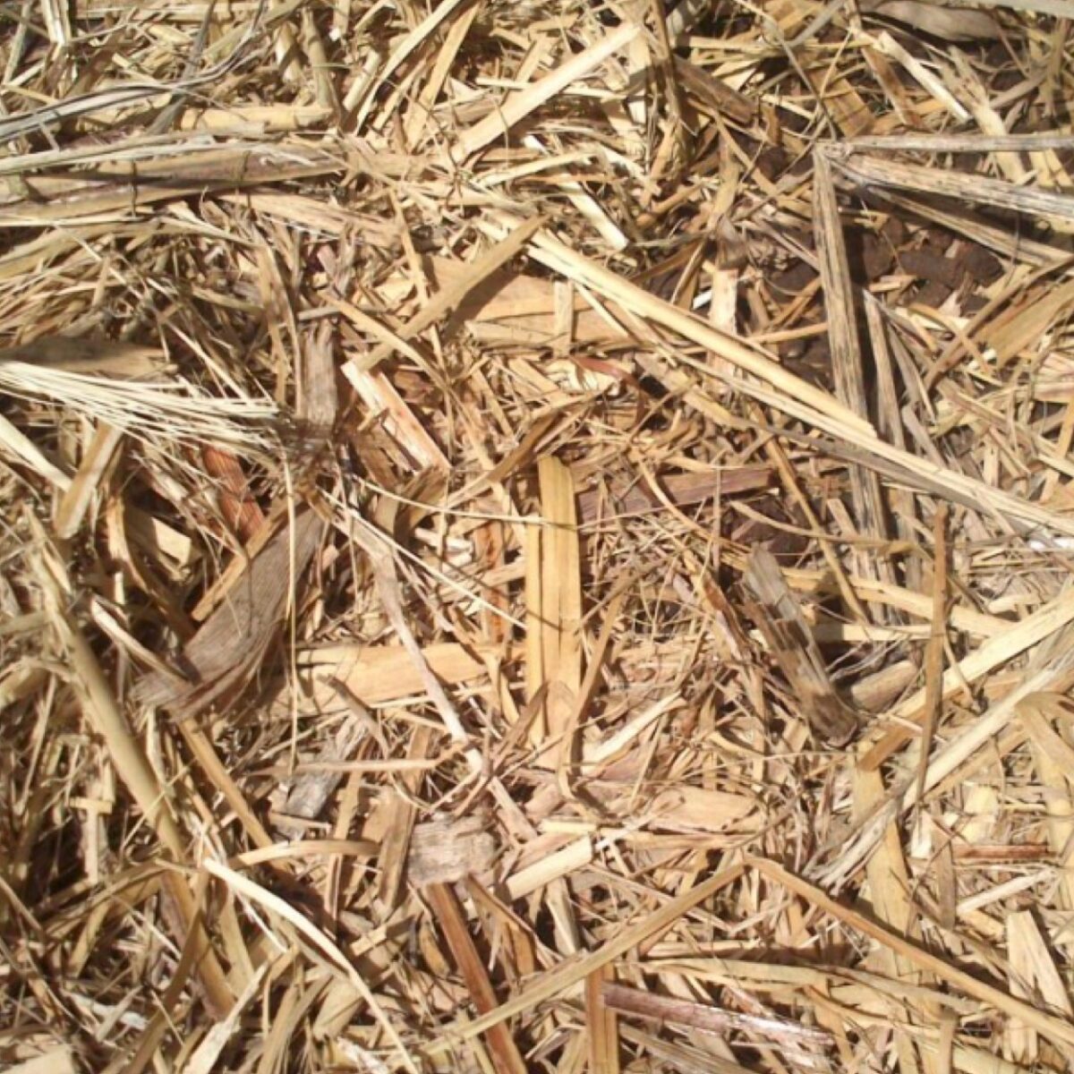Sugar Cane Mulch Hunter Valley Landscape Supplies