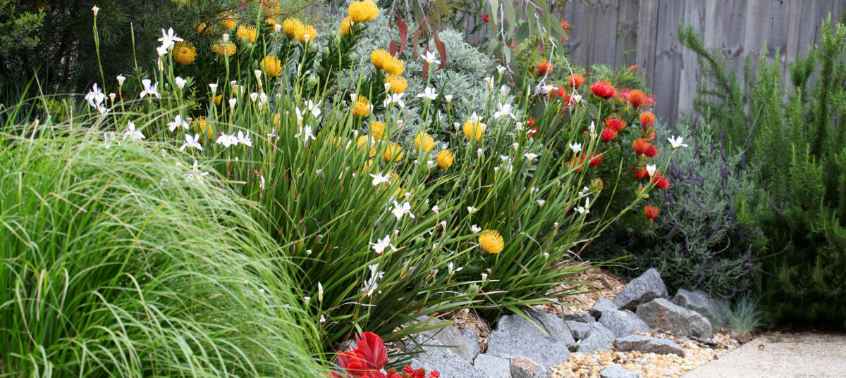 Hunter Valley Garden