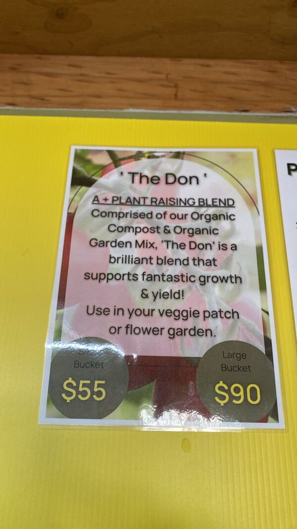 The Don - Image 2