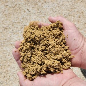 Rhyolite / Deco Gold